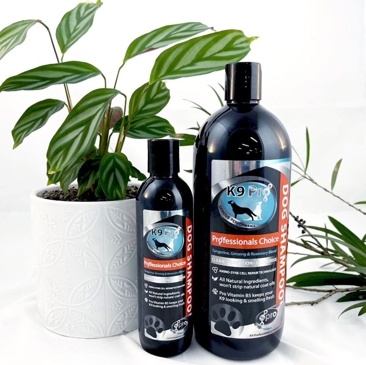 Dog Wash - Tangerine & Rosemary