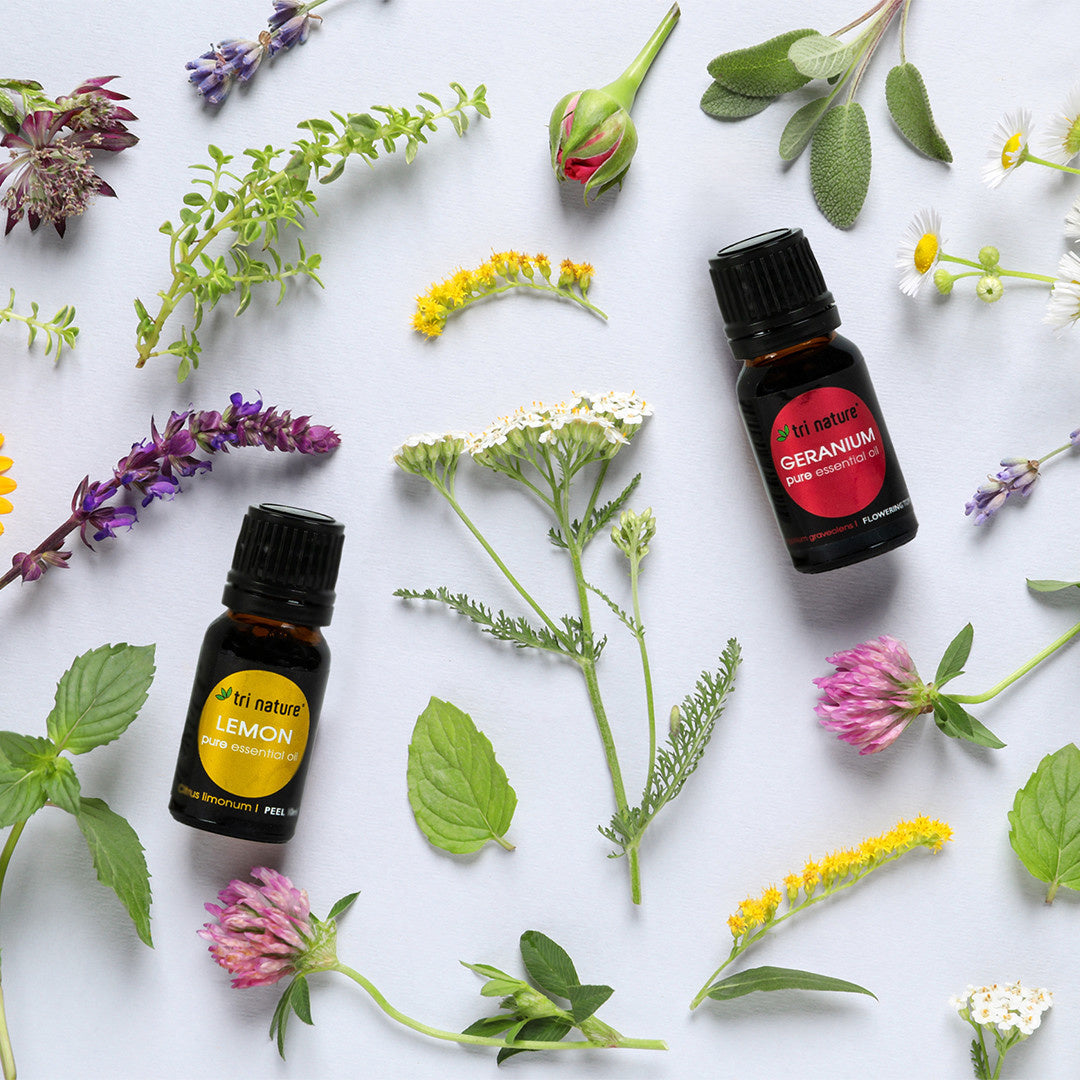 Essential Oil - Geranium