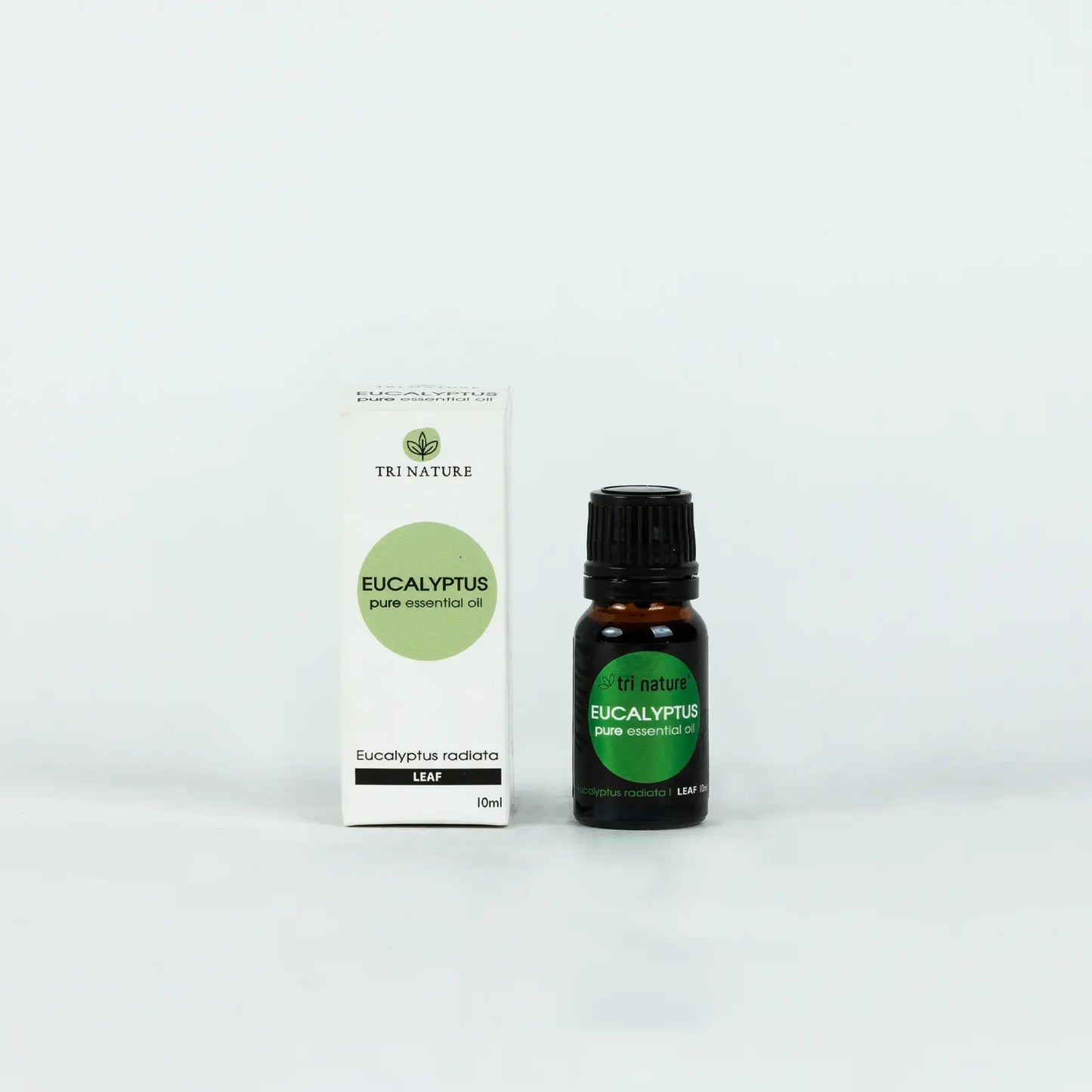 Essential Oil - Eucalyptus