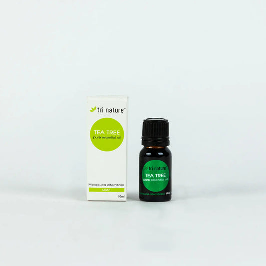 Essential Oil - Tea Tree