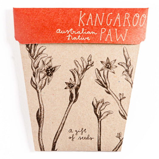 SOW N SOW Kangaroo Paw